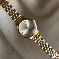 Scarlet Watch